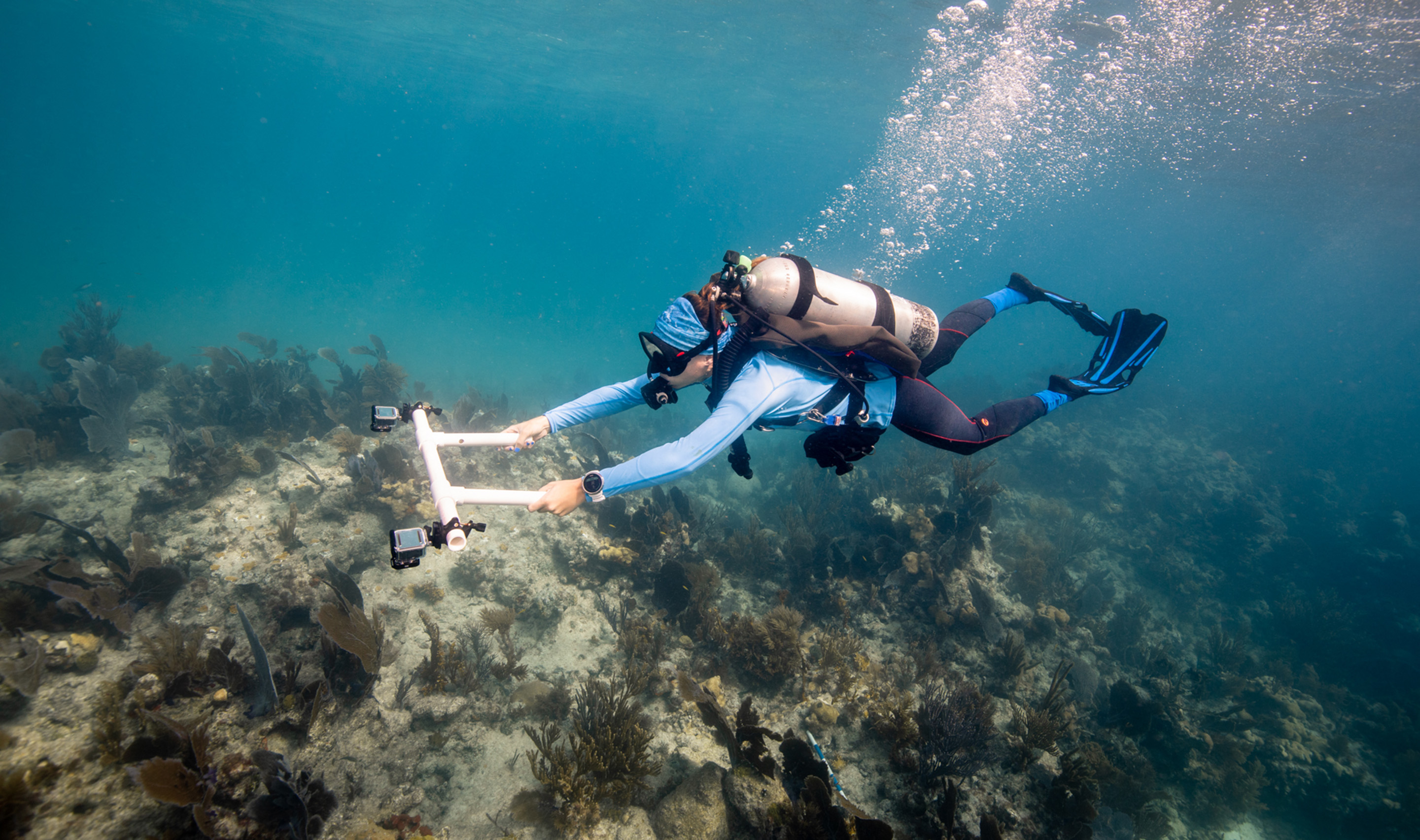 Caring for Coral