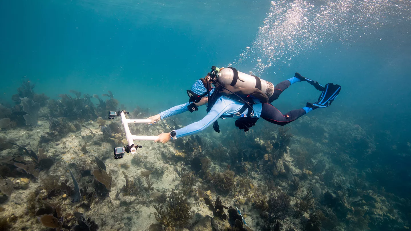 Caring for Coral