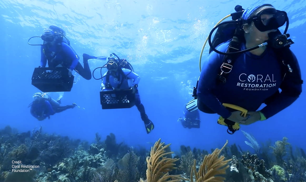 Caring for coral