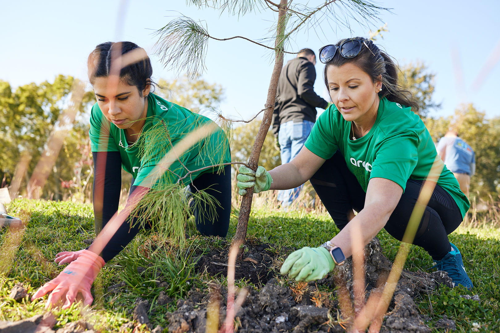 Aramco Americas employees plant trees during the Trees for Houston event