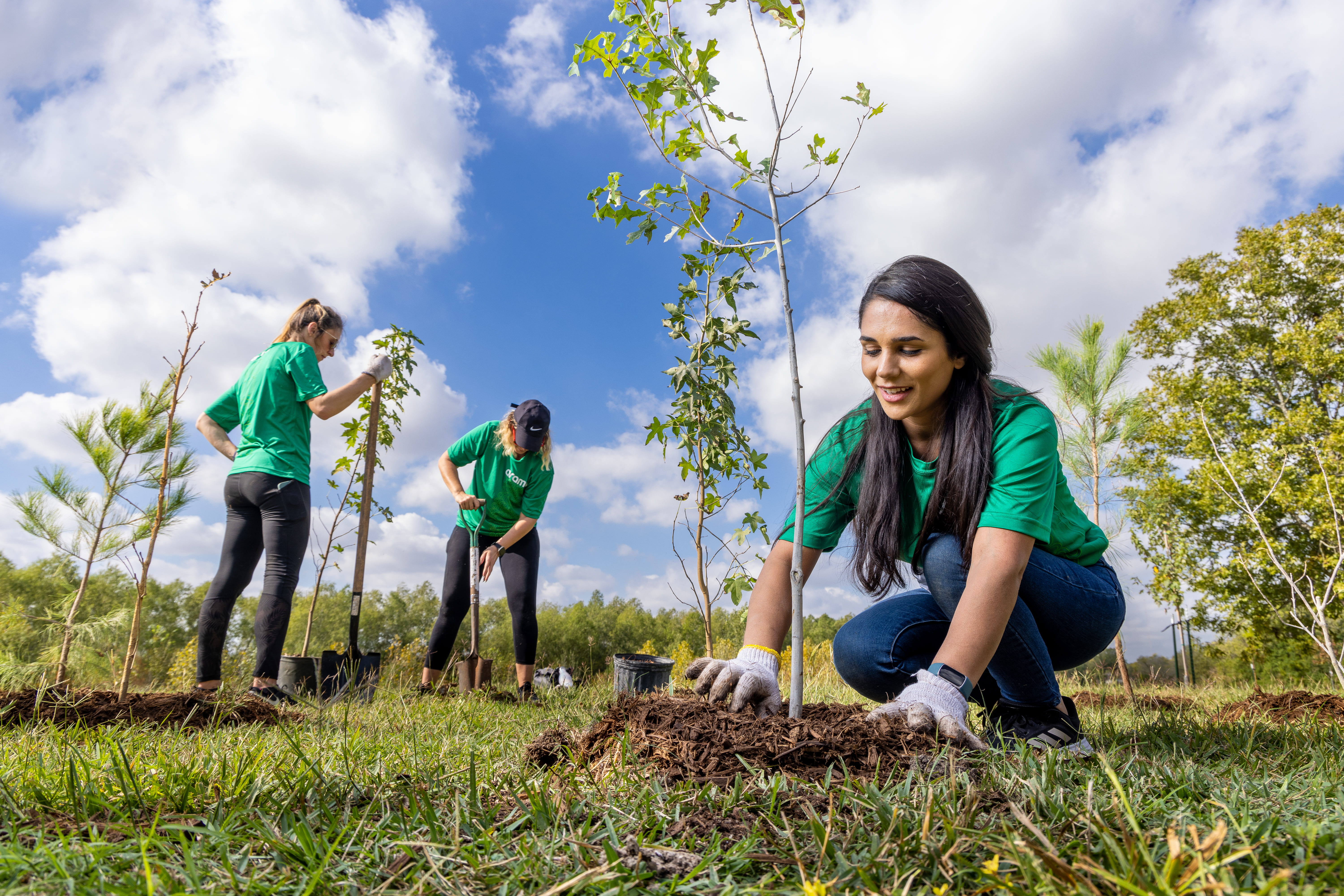 An Aramco employee plants a tree as part of the Trees for Houston program