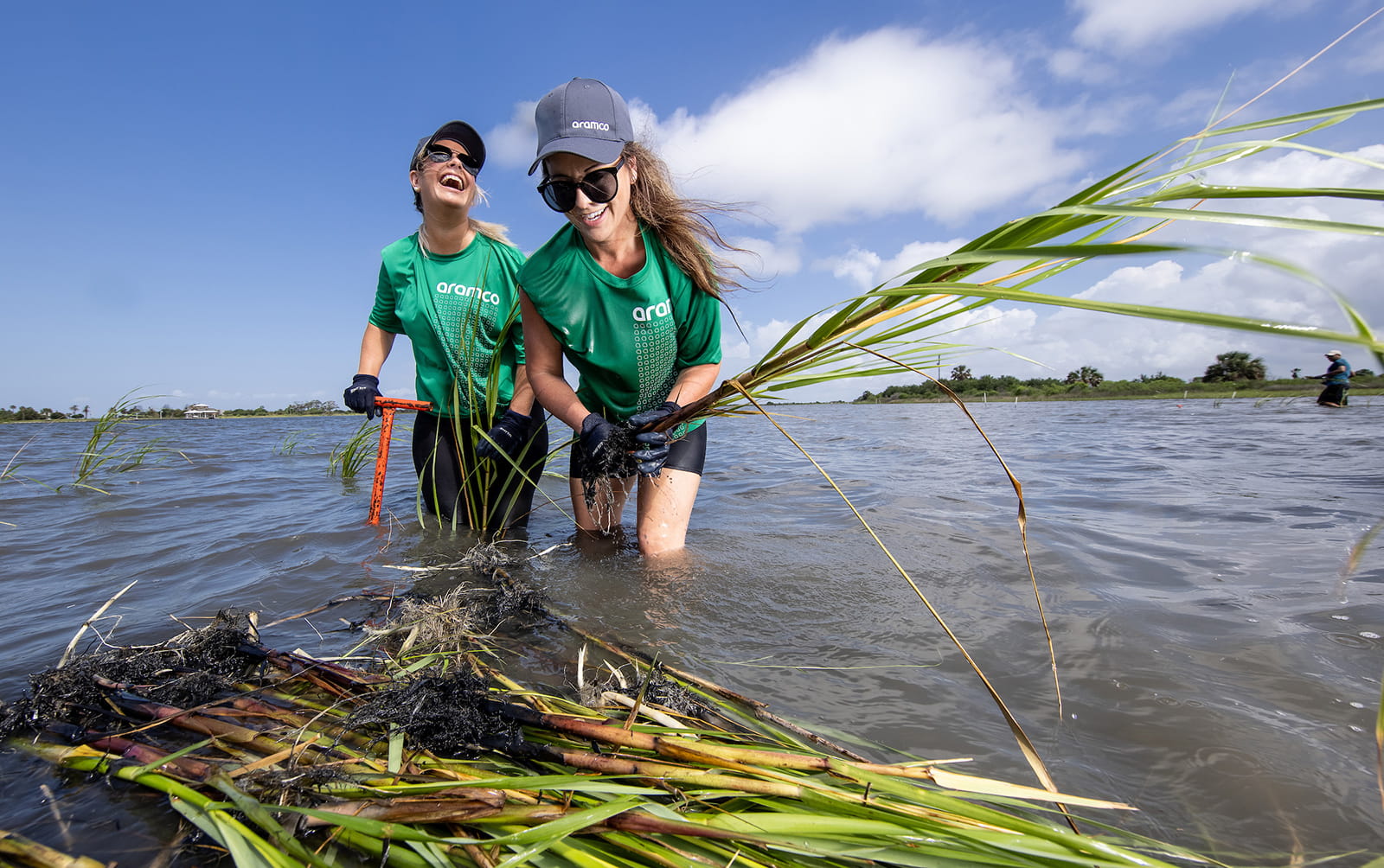 Volunteers wade back in to restore Galveston Bay