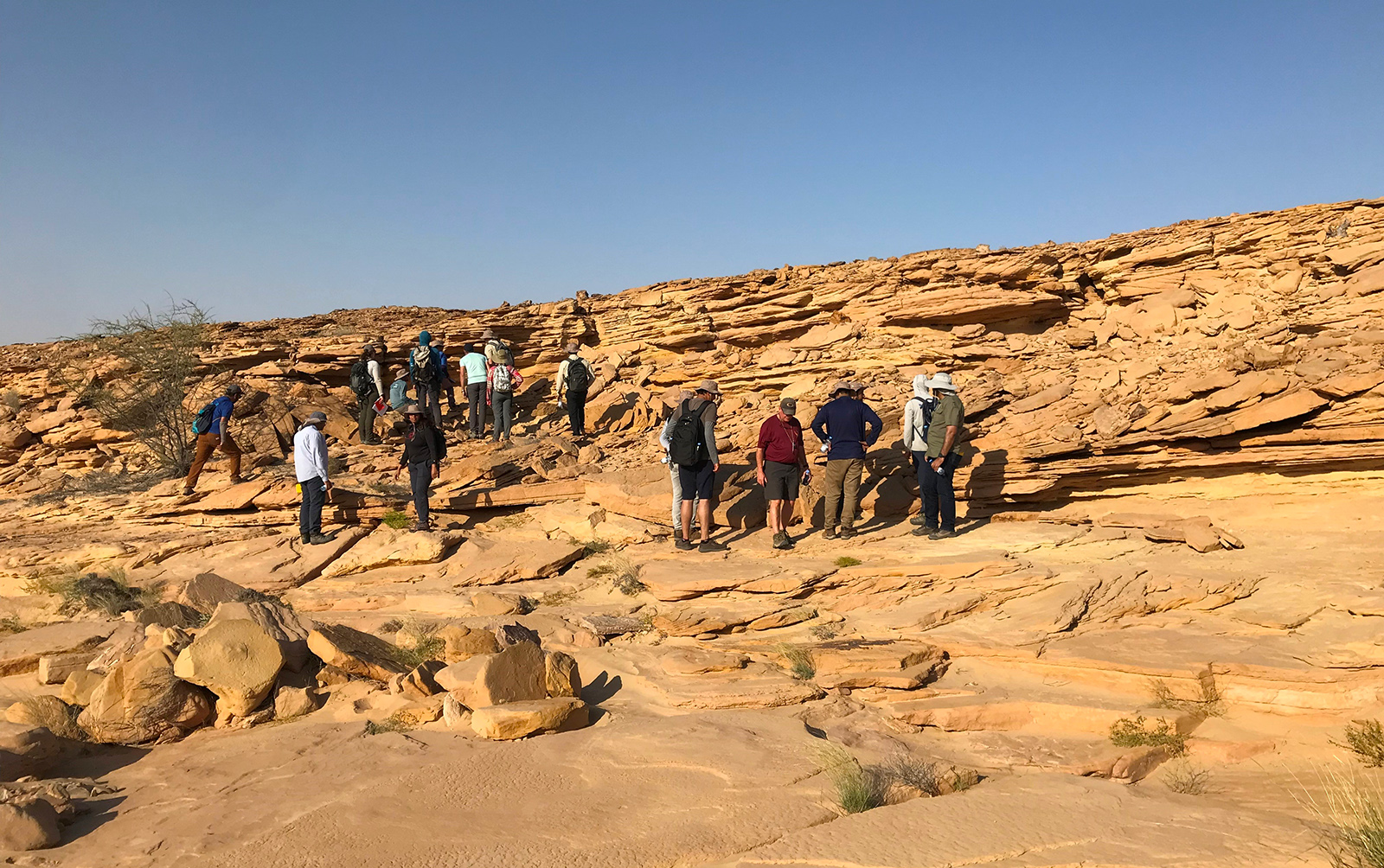 Shallow marine deposits of the Cambrian Amin Formation in Wadi Sumaynah.