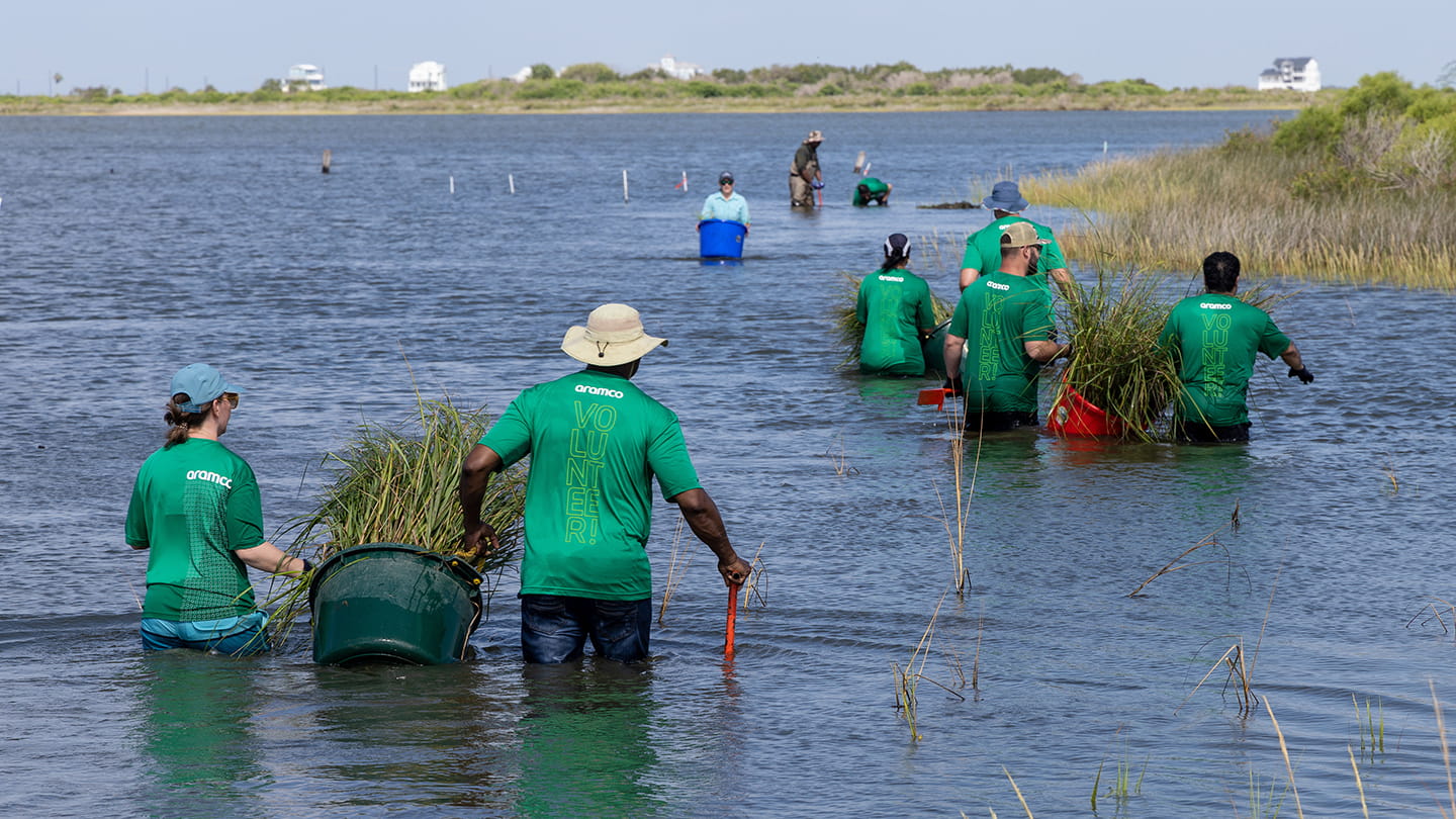 Aramco Volunteers Plant Marsh Grass in Galveston Bay Ahead of National Estuaries Week