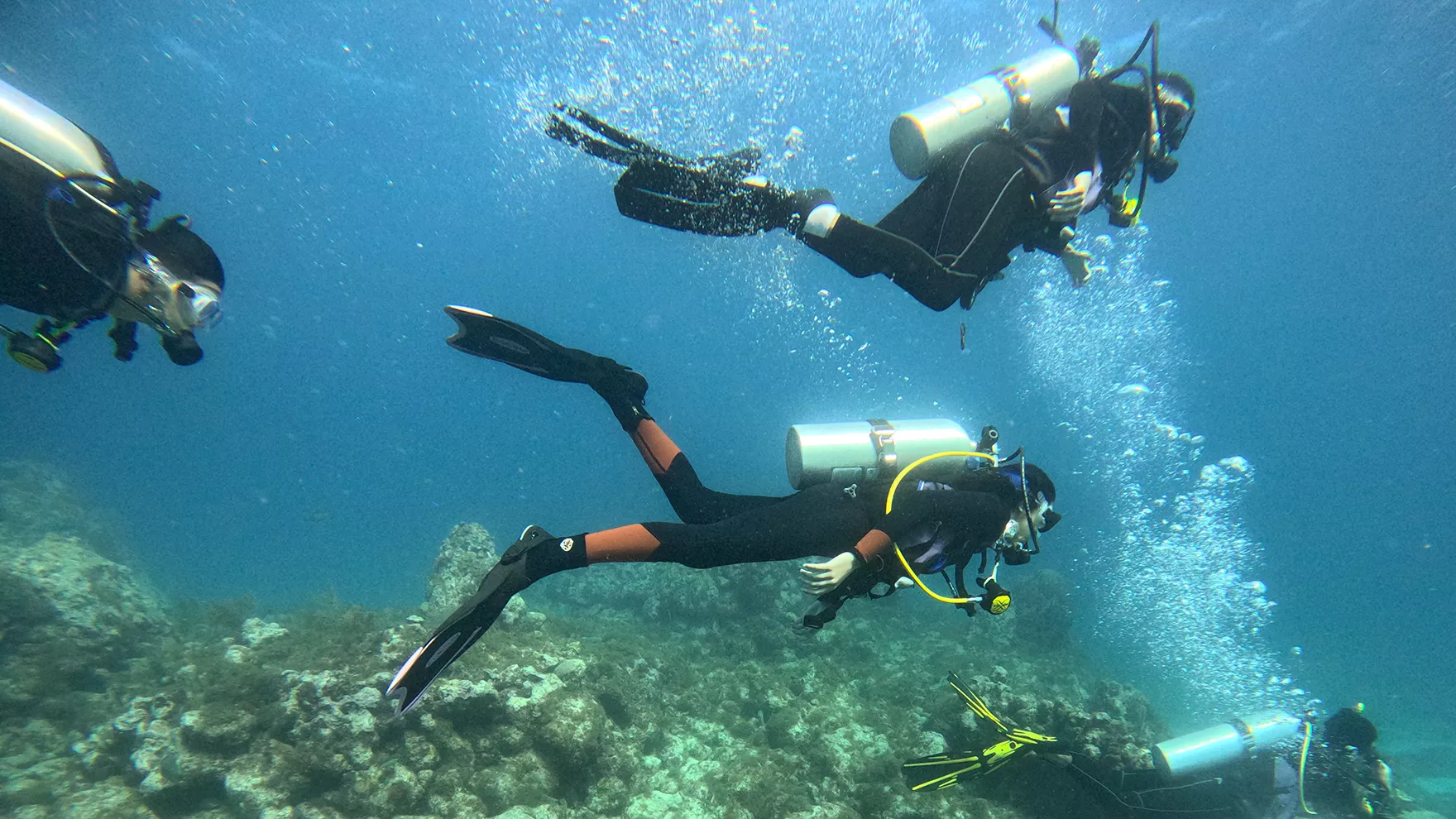 Future scientists go underwater to gain real world job skills